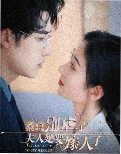 御膳房日记古装剧免费观看海报